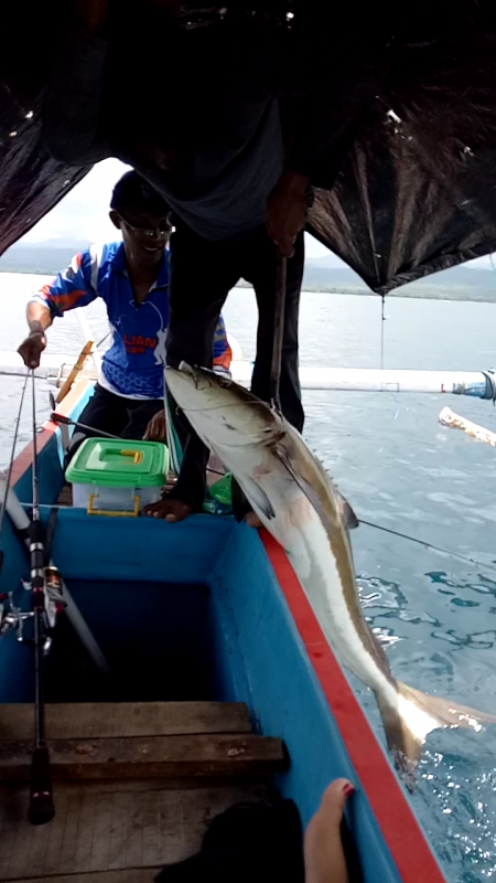 Landing fish on the boat from Balian